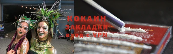 гашик Богородск