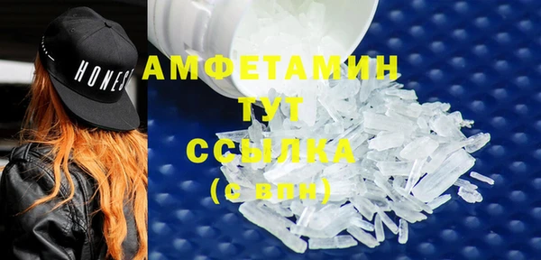 дживик Богородицк