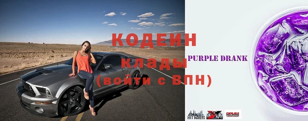 дживик Богородицк